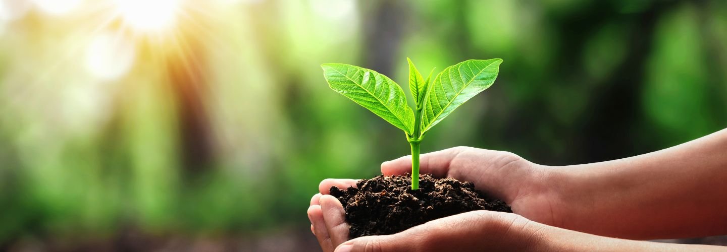 Servicios ambientales