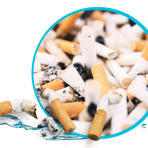 Reciclaje de Colillas de Cigarro