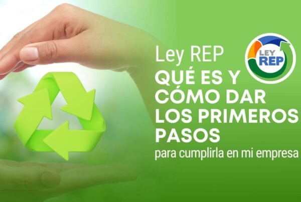 ley rep que es