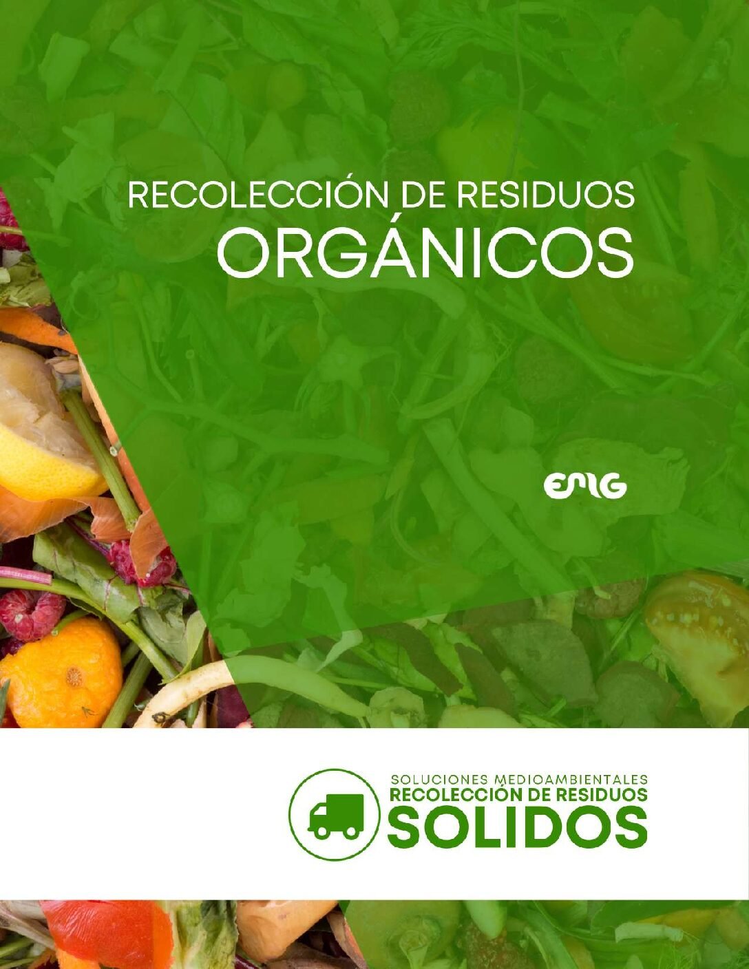 EMG Servicios Retiro de Residuos Organicos 1 pdf
