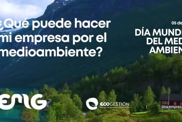 Empresas responsables con el medioambiente: Cómo implementar la Ley REP en Chile 1 Empresas responsables con el medioambiente