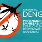 mosquito dengue chile, dengue en chile, dengue zancudo, dengue