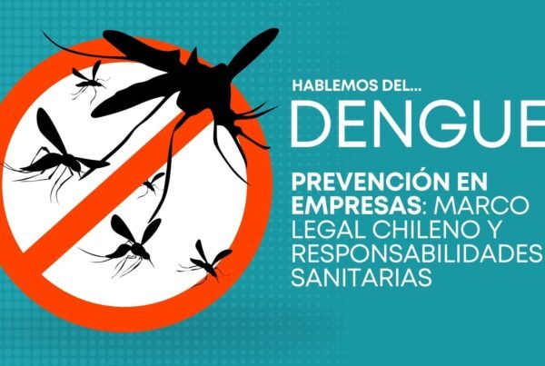 mosquito dengue chile, dengue en chile, dengue zancudo, dengue