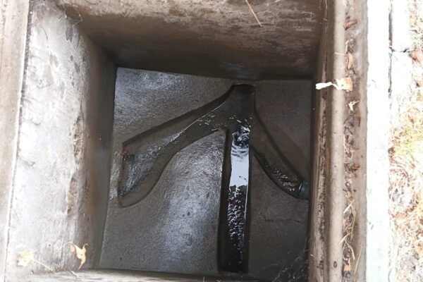 EMG-Servicios-17.01.04-2 EMG-Servicios-17.01.04-2